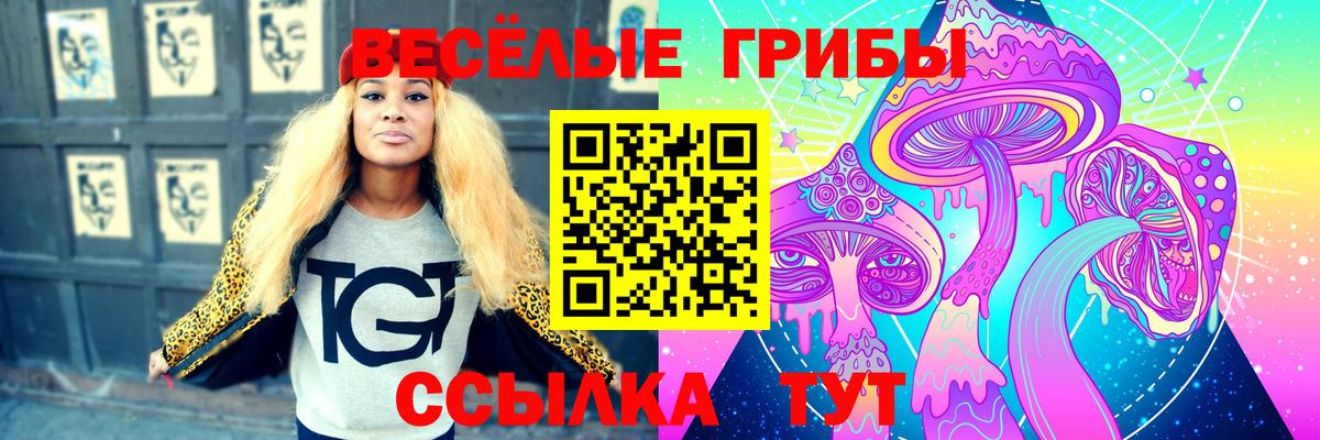 Энгельс  Галлюциногенные грибы мицелий  Вход с VPN 