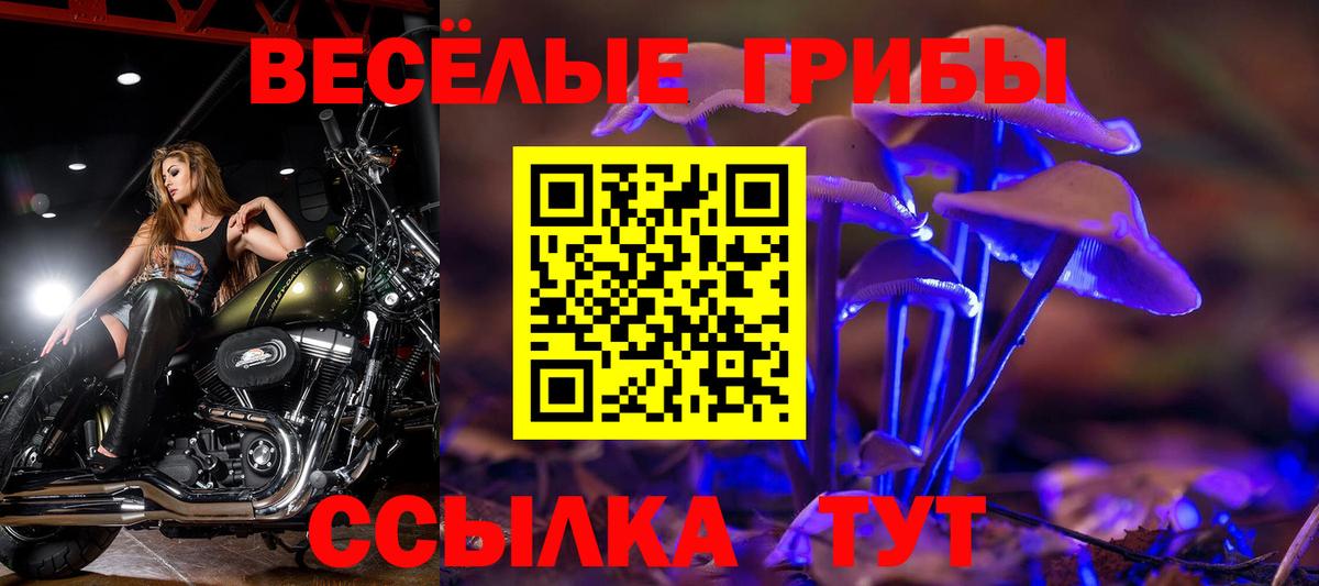 Псилоцибиновые грибы мицелий Энгельс