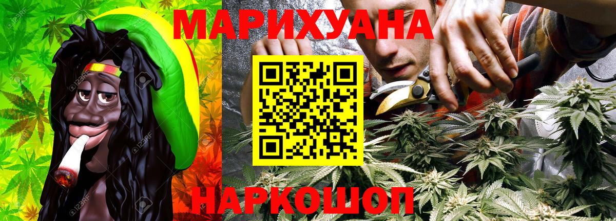 Каннабис OG Kush Энгельс